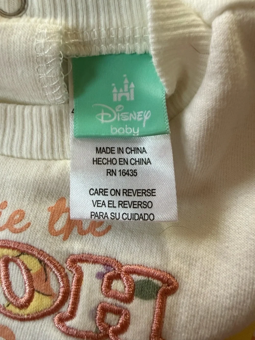 Disney Winnie the Pooh Outfit